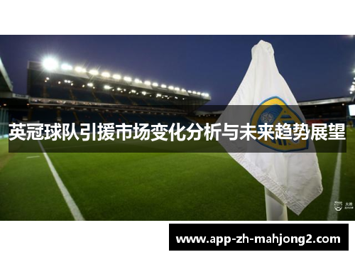 英冠球队引援市场变化分析与未来趋势展望