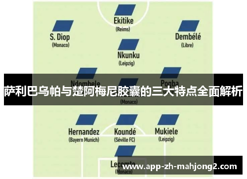 萨利巴乌帕与楚阿梅尼胶囊的三大特点全面解析 萨利巴乌帕与楚阿梅尼胶囊的三大特点全面解析