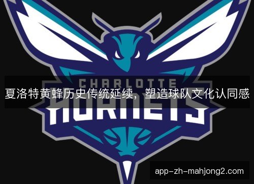 夏洛特黄蜂历史传统延续,塑造球队文化认同感 夏洛特黄蜂历史传统延续,塑造球队文化认同感